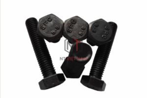 Bulong 8.8 - NT Việt Nam